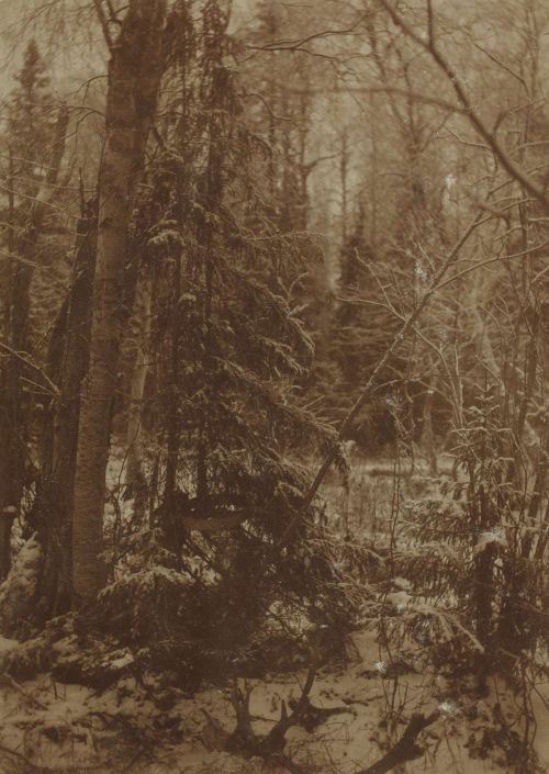 coldthinwolf - Н. А. Шабунин (1866-1907) «Путешествие на север»,...