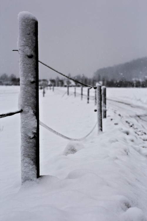 terraspirit - new snow by MarcoMahrle
