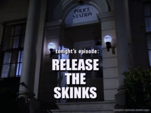 tonights-episode - tonight’s episode - RELEASE THE SKINKS
