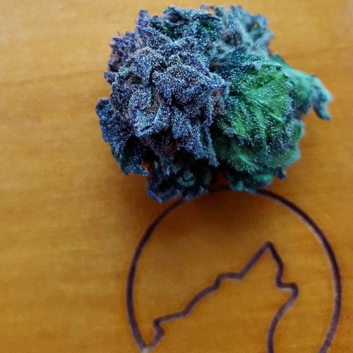 cannaboldstuff - Purple bud