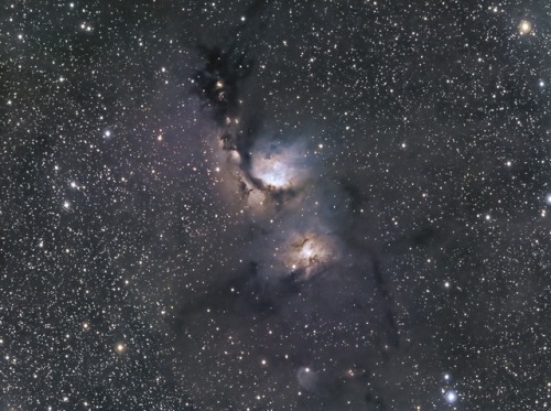 M78 in Orion.Credit - Chad Quandt