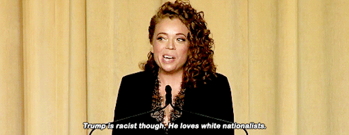 helpmeimobsessed:michelle wolf is braver than any us marine
