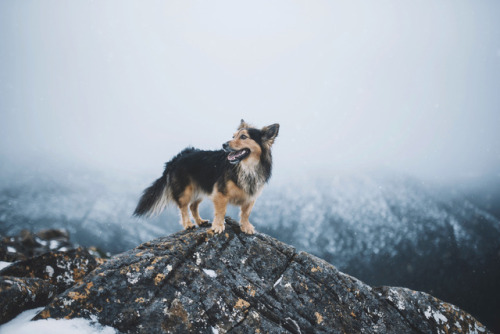 natura-e - little-fox-adventures - Chilly hike- Nature blog...
