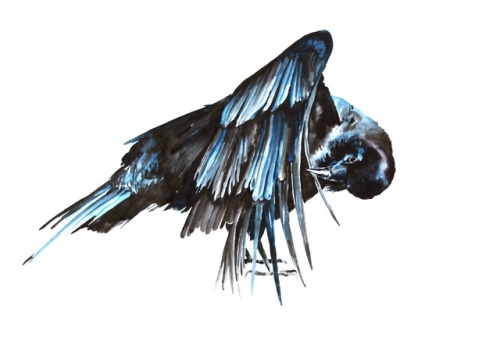 Crow in watercolor