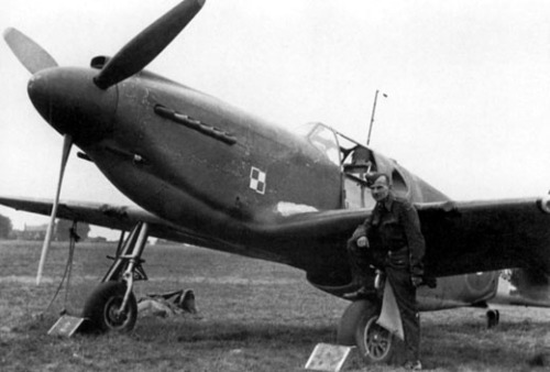 Flt Lt Janusz Lewkowicz poses by the Mustang I (AG648) in which...