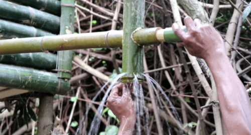 The Shower These Two Guys Build in the Jungle Is...