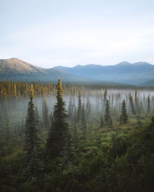 folklifestyle - The rawness of Alaska is what I love. Back to...