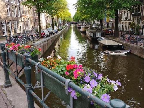 amazinglybeautifulphotography - Amsterdam was such a vibrant and...
