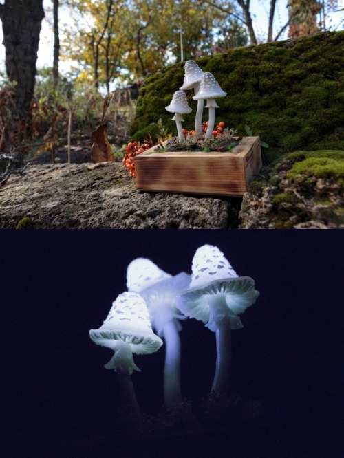 sosuperawesome - Mushroom Night Lights by The Snowmade on Etsy