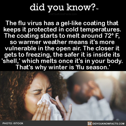 the-flu-virus-has-a-gel-like-coating-that-keeps