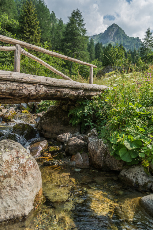silvaris:Dolomites by Arco Gelderblom