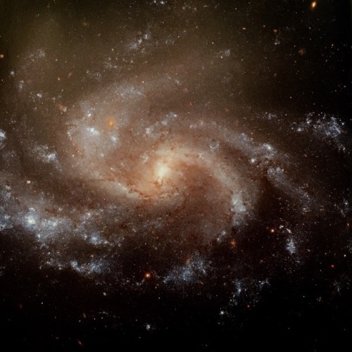traverse-our-universe - The gorgeous spiral galaxy, NGC 5584, is...