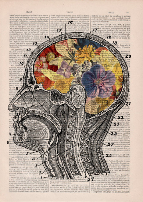 cnl-selects:Anatomical Collage on Vintage Dictionary Paper By ...