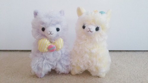 unicornnyancakes - 16cm Cotton Candies.They’re extremely new...