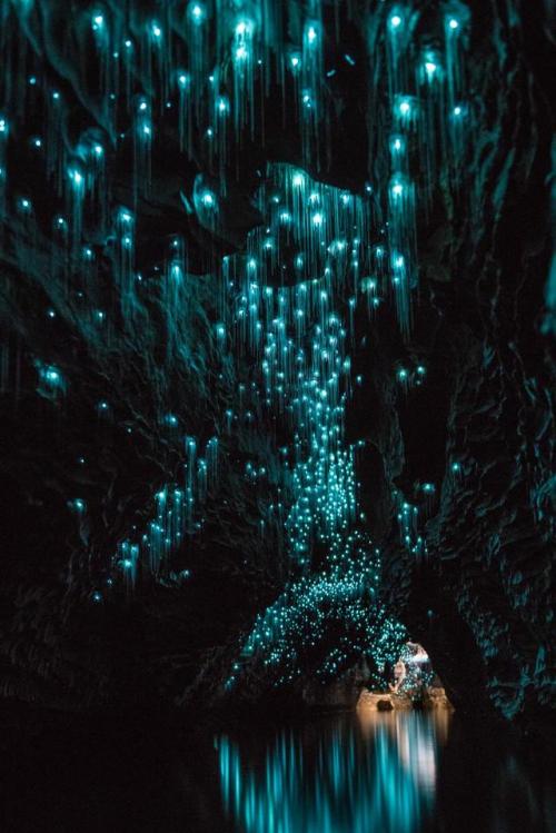 thebeautifuloutdoors - Waitomo Glow-worm cave, NZ...