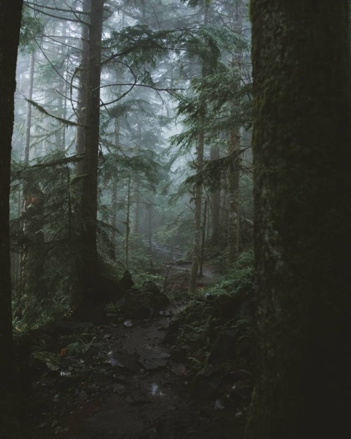 quiet-nymph:Photography by Ryan Ateser