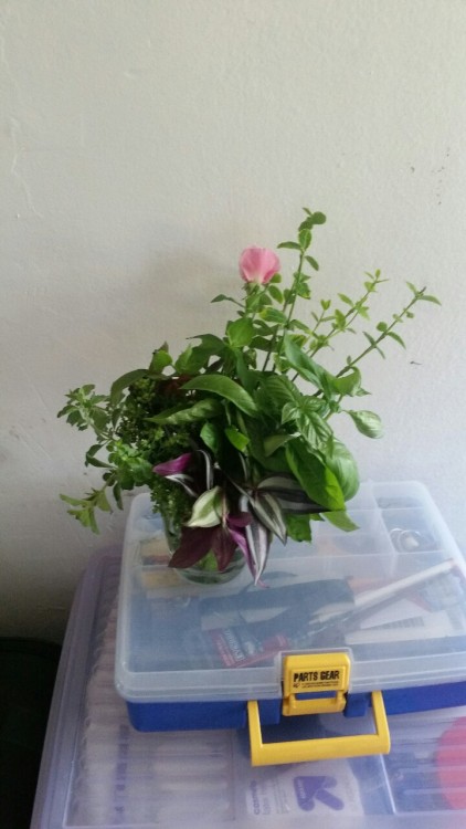 New digs, and the fragrant (basil and thyme) bouquet my friend...