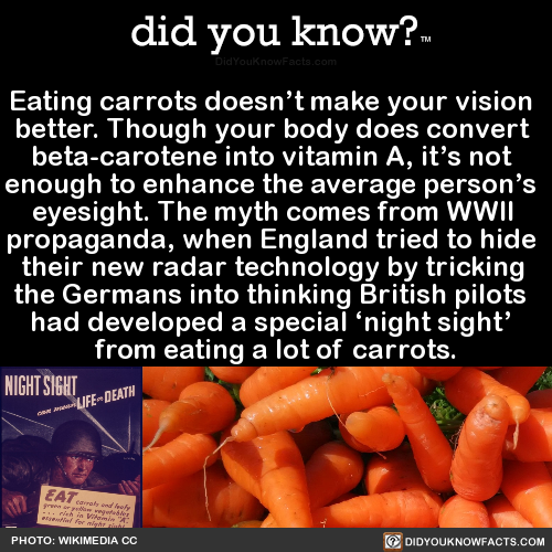 eating-carrots-doesnt-make-your-vision-better