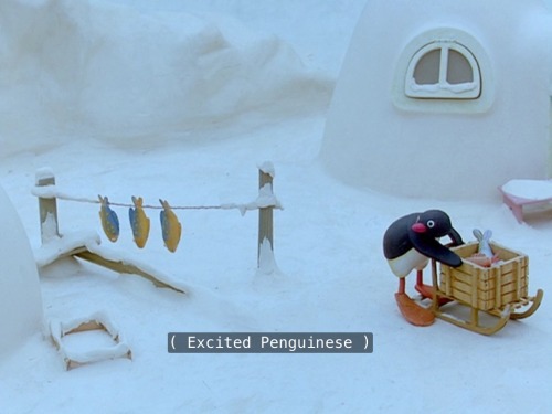 buckybarnesinthetardis - Decided to watch Pingu with subtitles...