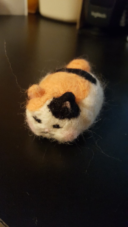 tiergan-vashir - dodos-and-coeurls - I made a tiny fat cat....
