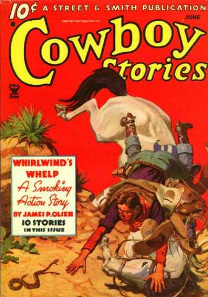 Cowboy Stories