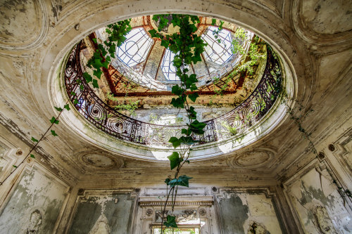 abandonedandurbex:Vines creeping in through an old skylight in...