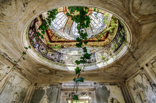 abandonedandurbex - Vines creeping in through an old skylight in...