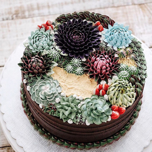 succulent-therapy - bibidebabideboo - (Succulent Cakes By...