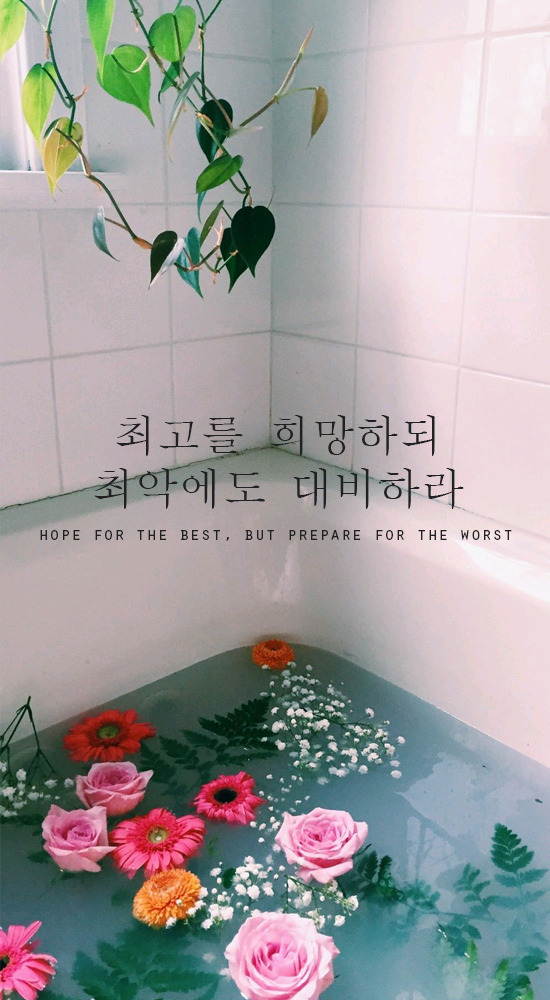 Loving Korean  on Tumblr  flos chorum Korean  Quotes 