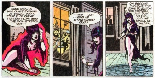 thaumaturgically: Elvira’s House of Mystery #1 Elvira’s quest