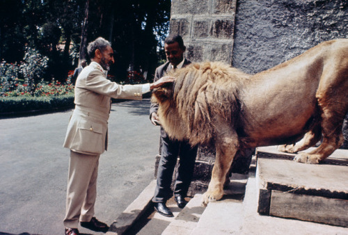 whatjoelikes-blog - emperor haile selassie with his lion of judah