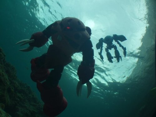 emberspiritx - Scuba diving !!…underwater photoshoot..credit...