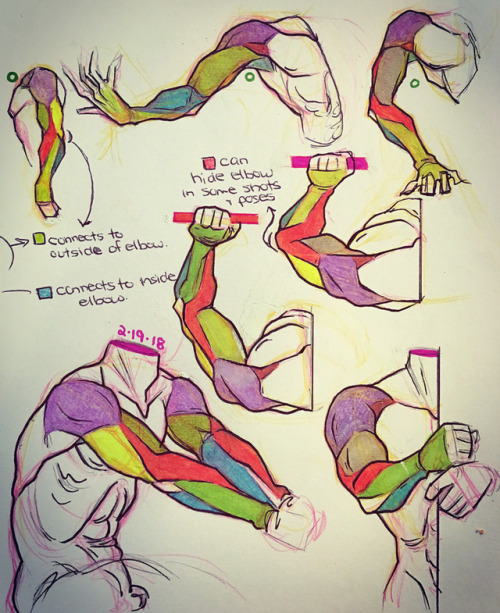dcqart:Various arm studies implementing simplified muscle...