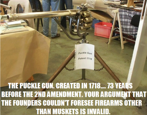 THIS IS NOT a WELL- REGULATED MILITIA AND THIS IS NOT a MUSKET Times
