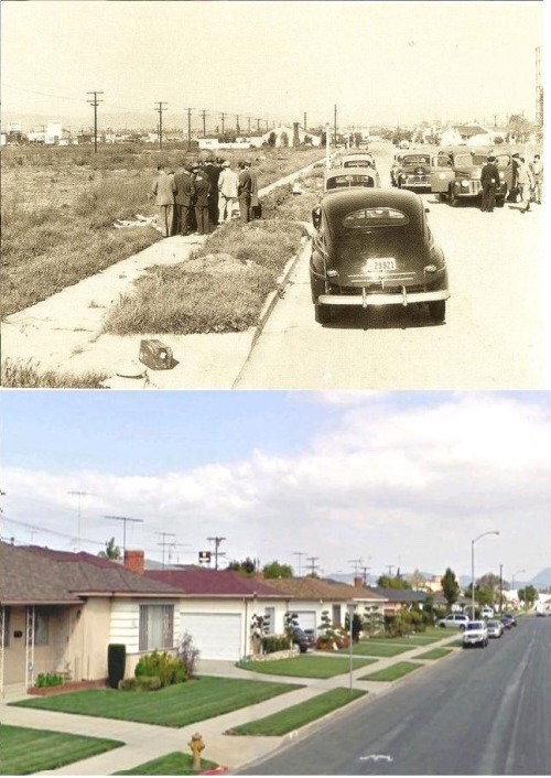 congenitaldisease - The Black Dahlia crime scene - then and now.