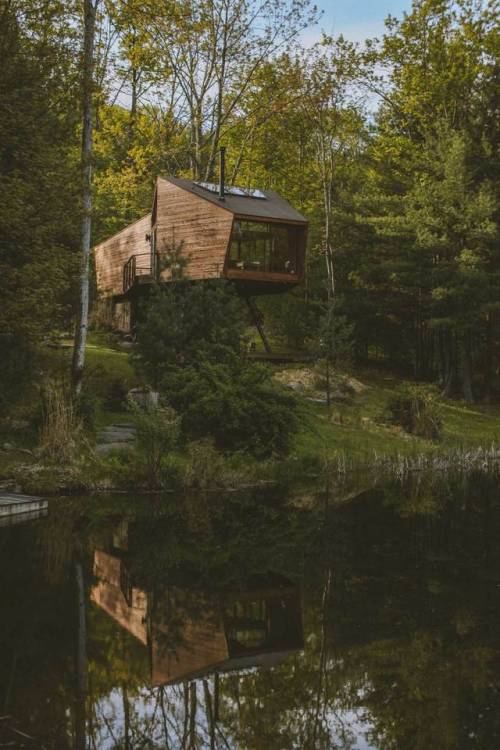 cabinporn:The Willow Treehouse / @treehousewillow is settled...