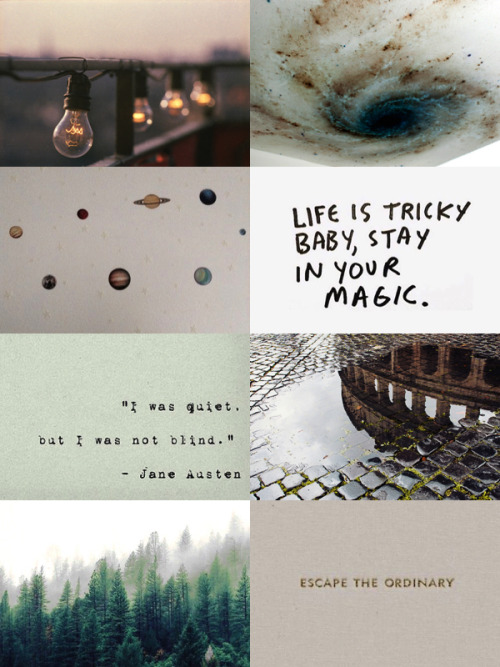 i-live-for–the-aesthetic - INTP, Slytherin, Thunderbird,...