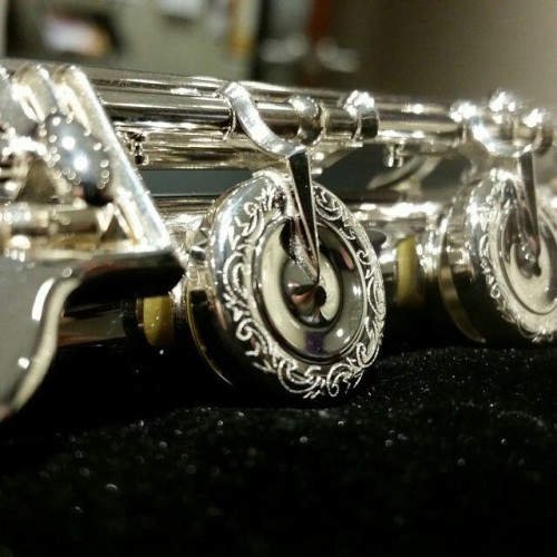starnewt - Pretty flutes - part...