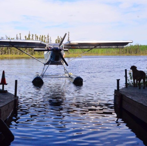 aircampers - Gives new meaning to the song “sit'n on the dock of...