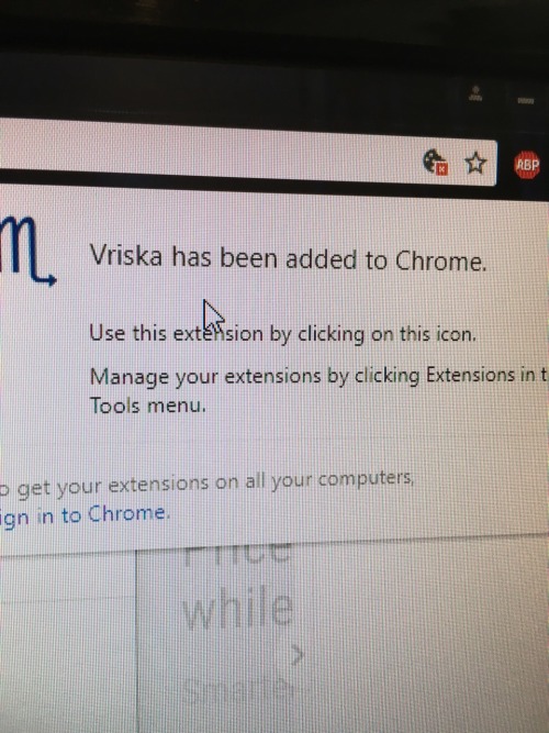 starship-one - in light of recent jokes i made a chrome extension that just adds a picture of vriska..
