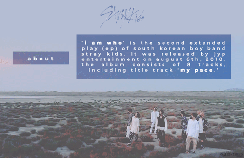 realstraykids - thank you for a great era ♡ (insp.)