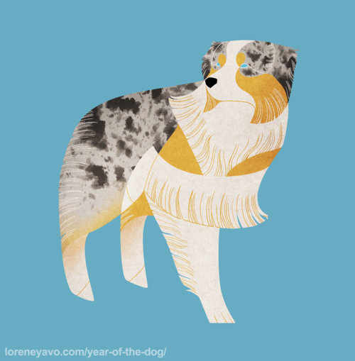 kelgrid - Year of the Dog - Australian Shepherd“While there are...