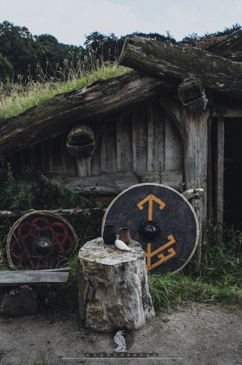 noordhravan:v i k i n g photo taken at the schothorst viking...