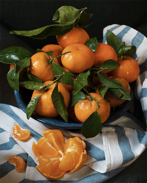 cinemagraphs - Clementines and bugs… can you spot them all?Bugs...