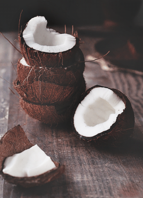 Coconuts  Tumblr