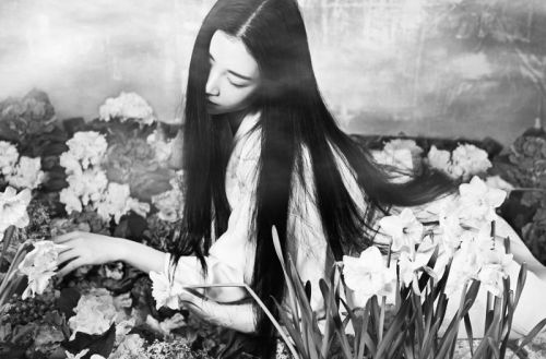 mortisia - ‘Heart of a Woman’, Zhang XiuYuan by Wang Xin