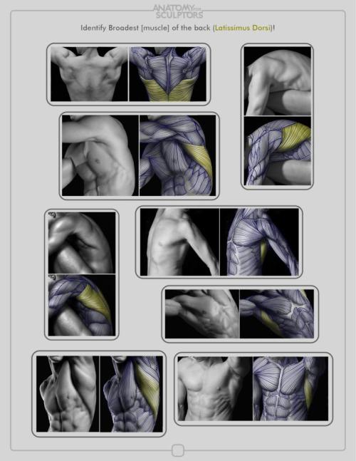 eyecager - https - //www.facebook.com/Anatomy4Sculptors/photos_albu...