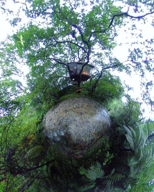 lonelyhusband16 - utwo - Treeful Treehouse EcoResortOkinawa©...