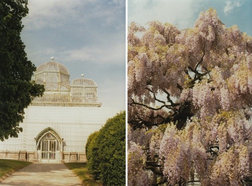 floralls:Royal Greenhouses in Laeken.Brussels /Belgium.by...