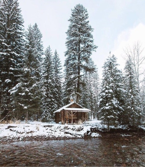 pieceofwilderness:@cabinsdaily.Cabin in the woods. On the...